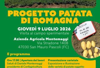 Patata di Romagna 9 luglio 2026